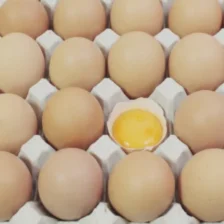 86435D06 1DD6 4F33 829A AFBBA5BAB224.jpeg