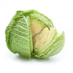 Bio Grunkohl 1 U.jpg