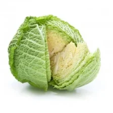 Bio Grunkohl 1 U.jpg