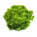 Bio Salat Wunder 1 U.jpg