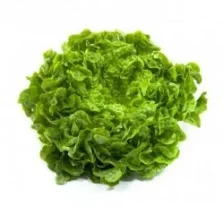 Bio Salat Wunder 1 U.jpg