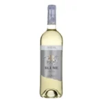 BLUME JOVEN White Wine - 6 x 0.75L