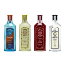 Bombay GIN Variation